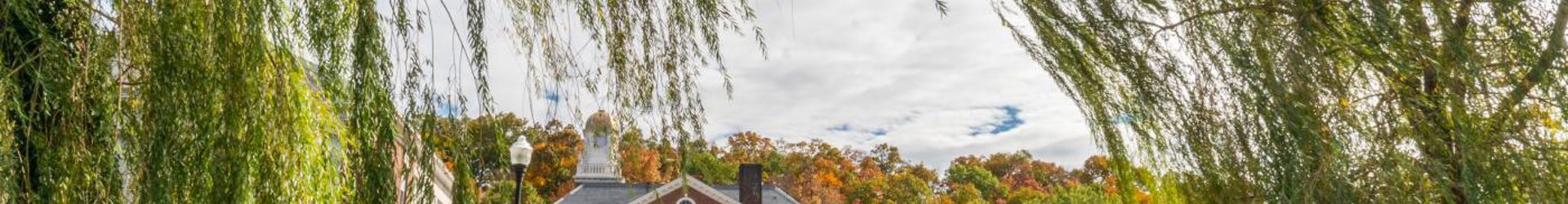 Mt Kisco (1)
